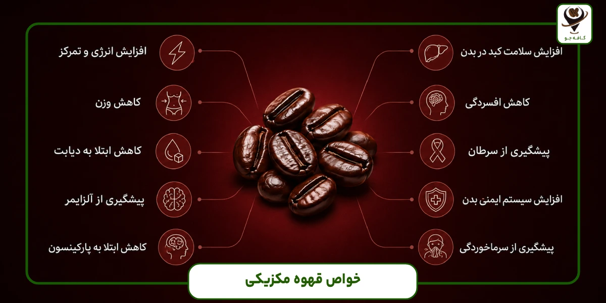 خواص دانههای قهوه مکزیکی و انواع آن