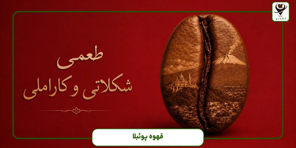 دانه قهوه پوئبلا