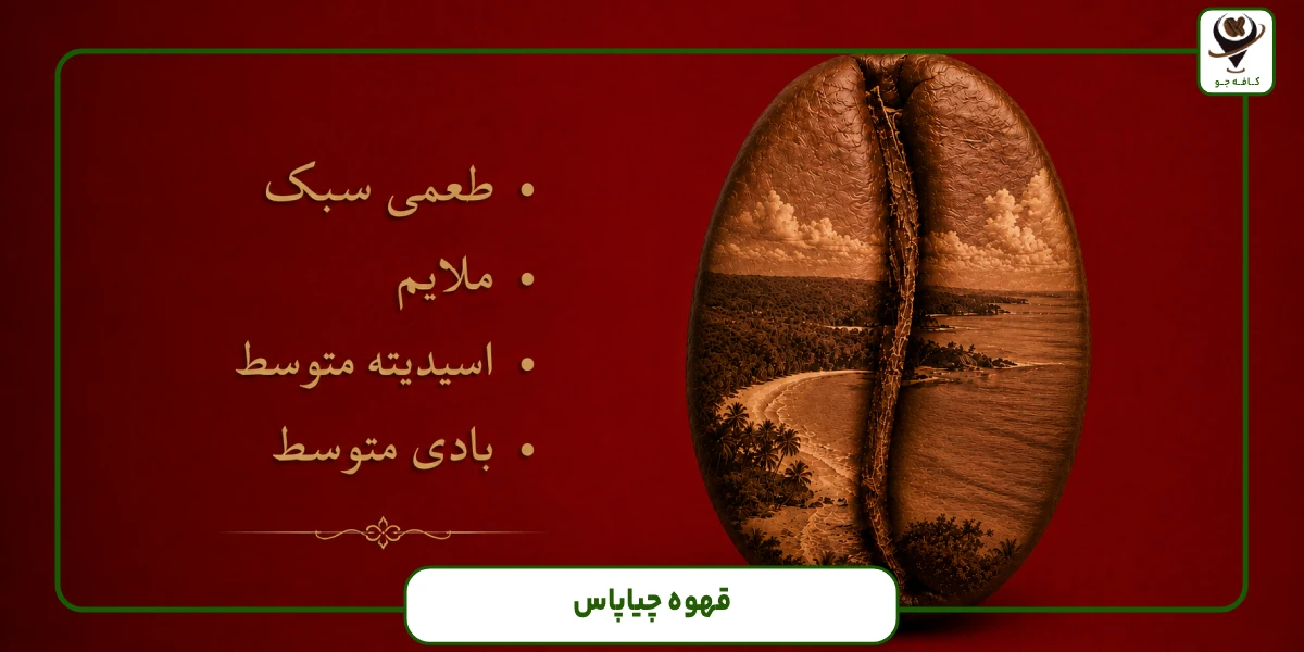 دانه قهوه چیاپاس